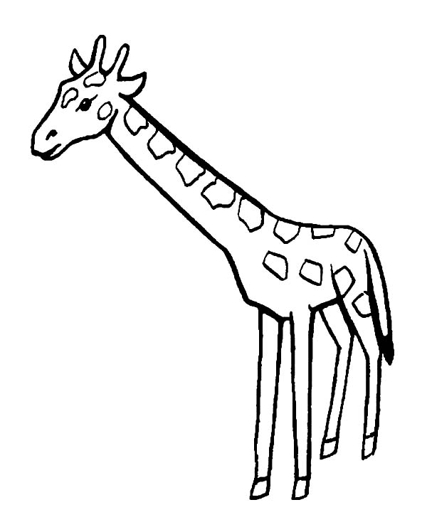 Jirafa #5302