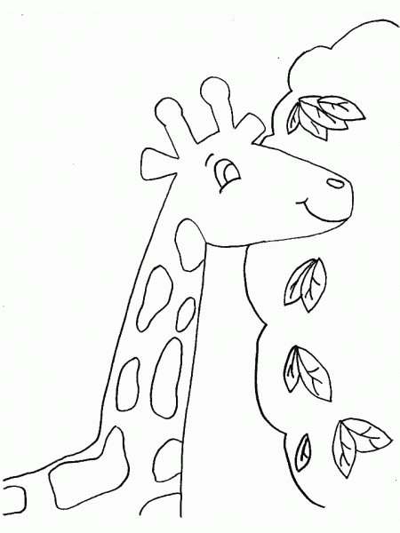 Jirafa #5303