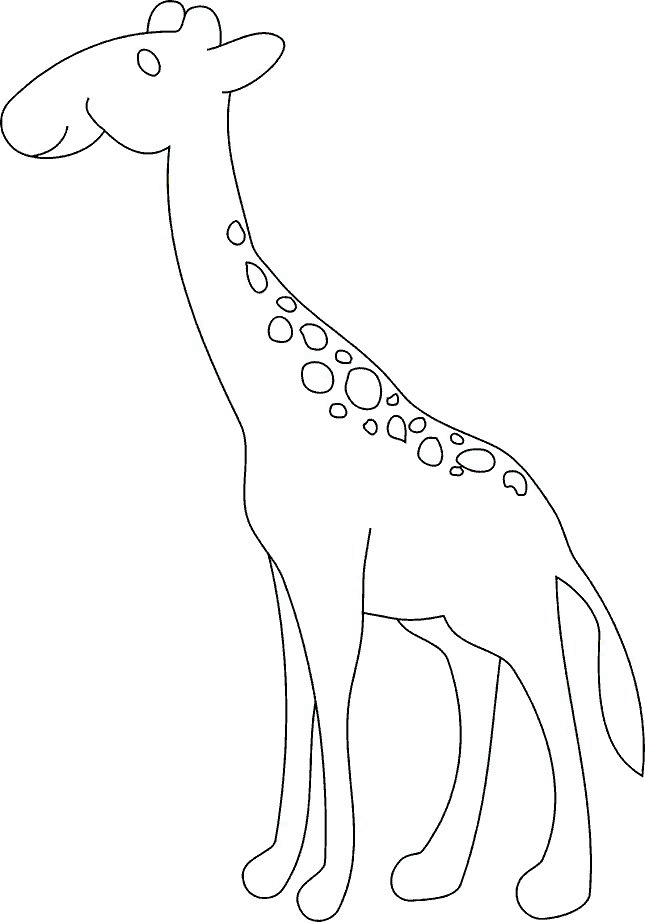 Jirafa #5304