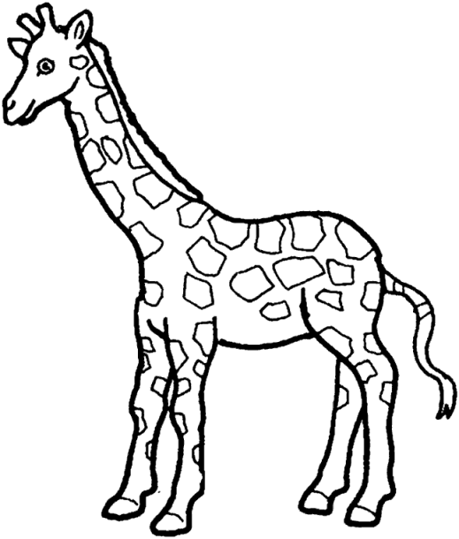 Jirafa #5306