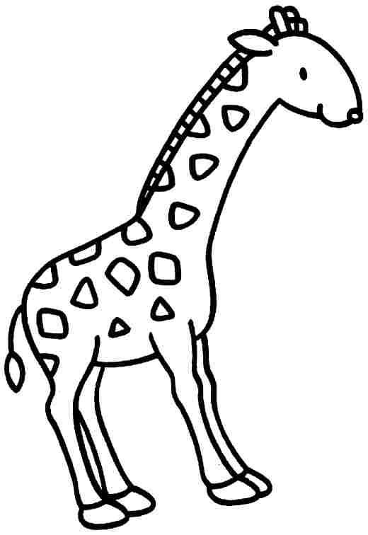 Jirafa #5319