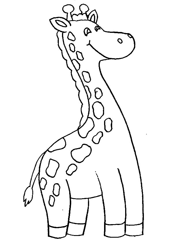 Jirafa #5338