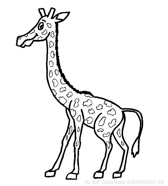 Jirafa #5340