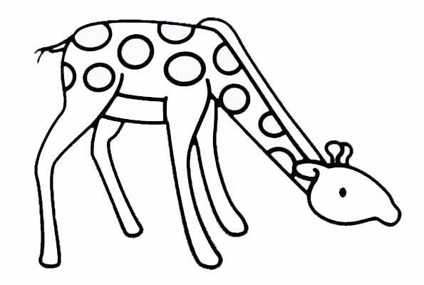 Jirafa #5342