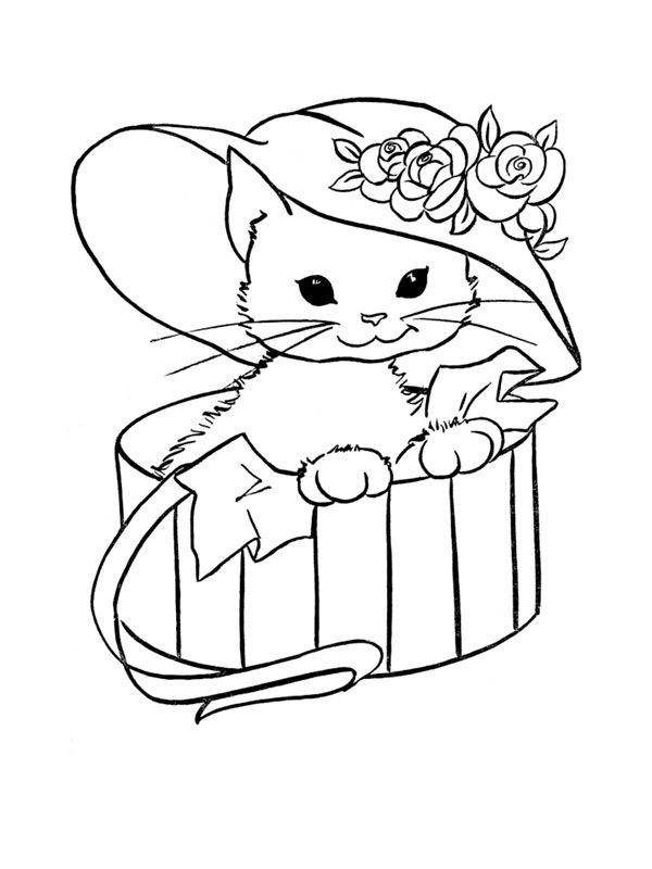 Gatito #5345