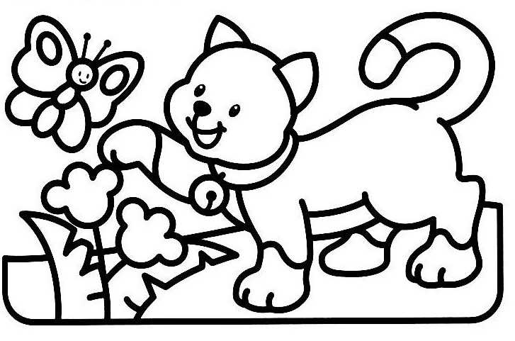 Gatito #5346