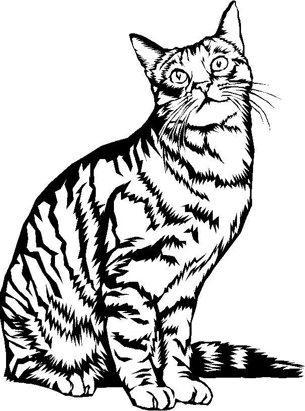 Gatito #5348