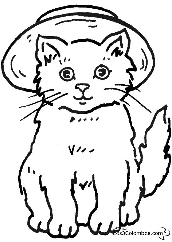 Gatito #5358