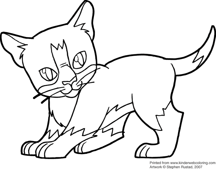 Gatito #5367