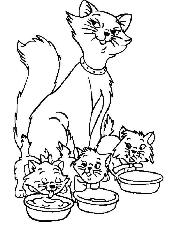 Gatito #5371