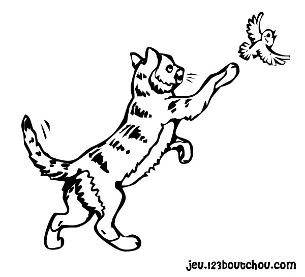 Gatito #5376