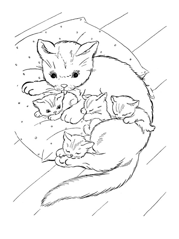 Gatito #5381
