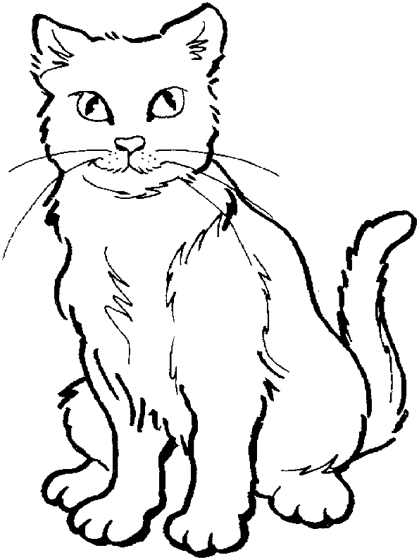 Gatito #5384