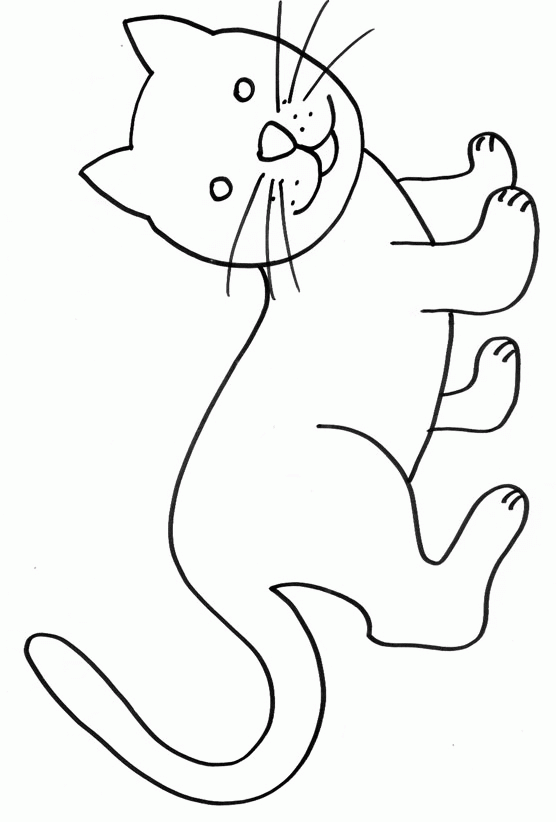 Gatito #5386