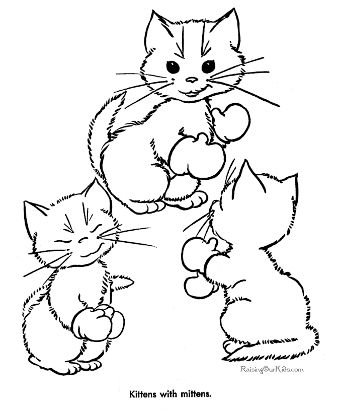 Gatito #5388