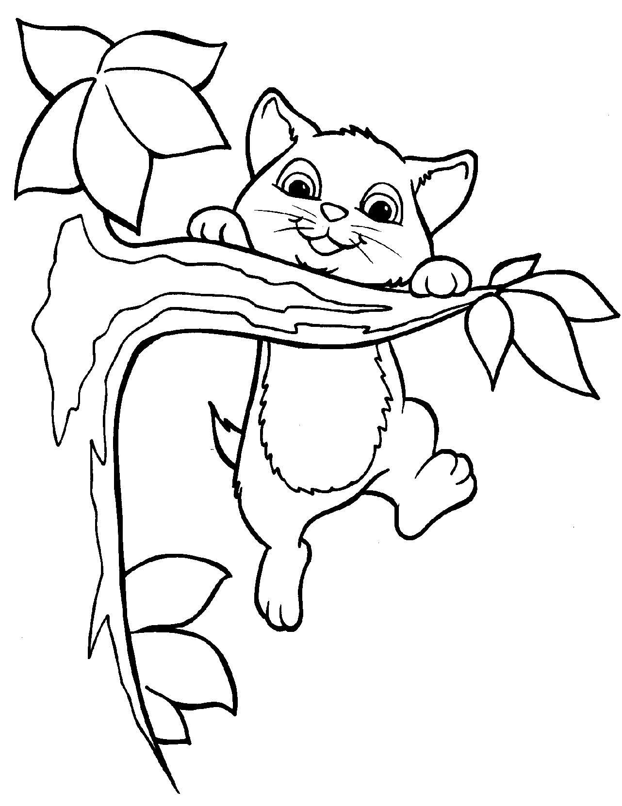 Gatito #5389