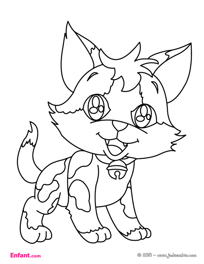 Gatito #5391
