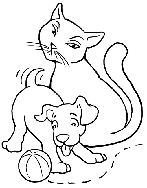 Gatito #5396