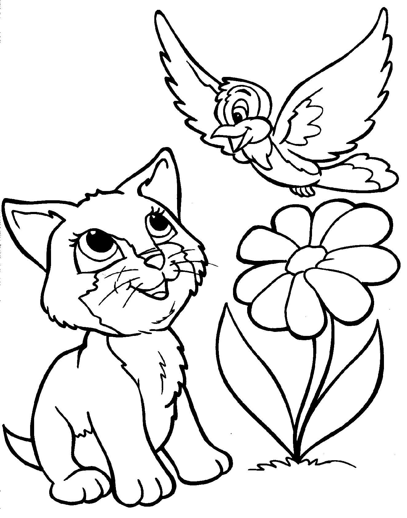 Gatito #5400