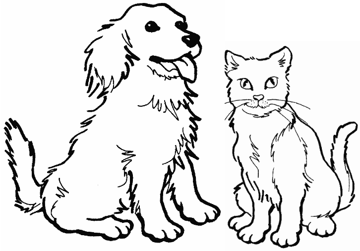Gatito #5403