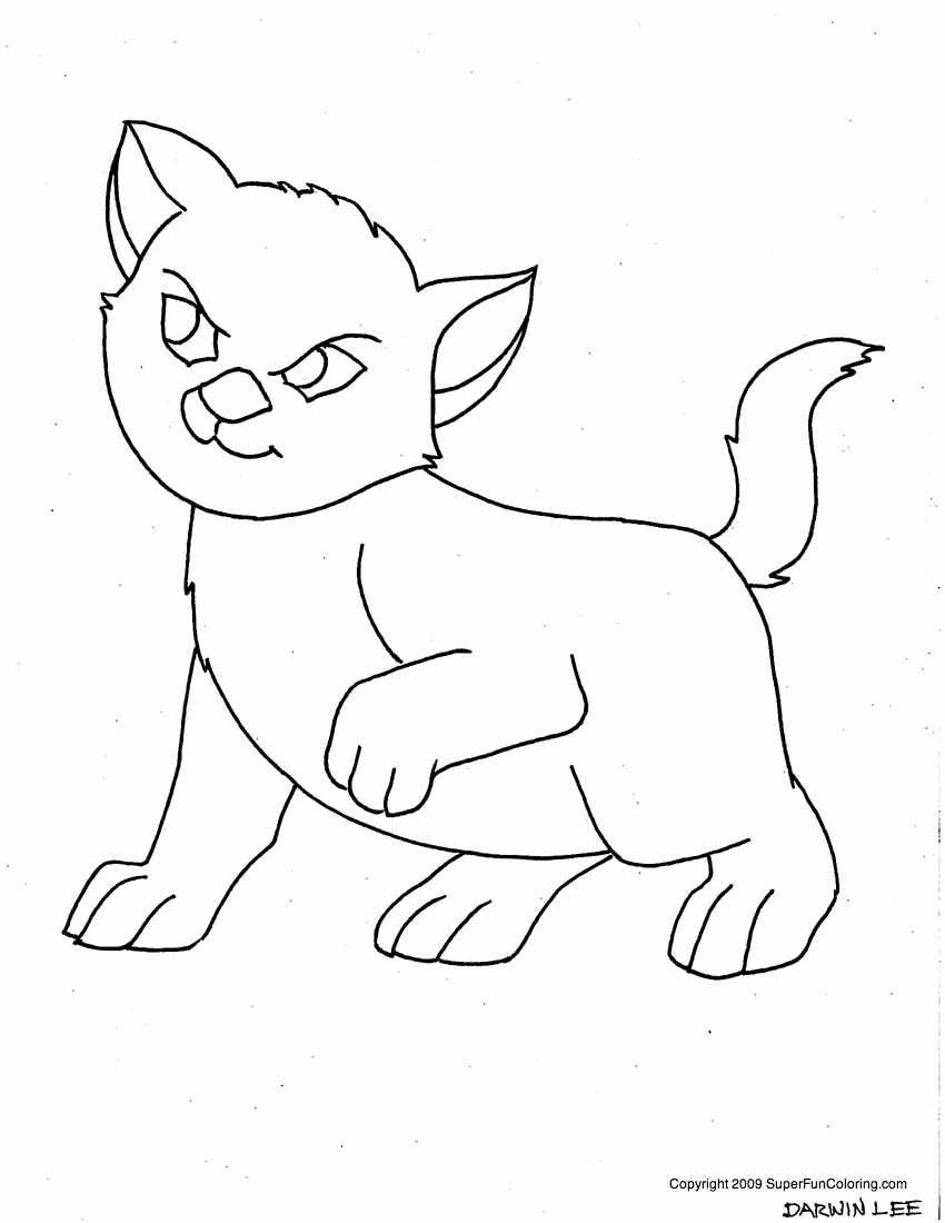 Gatito #5415
