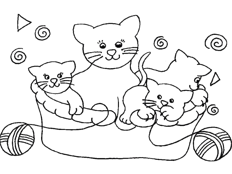 Gatito #5420