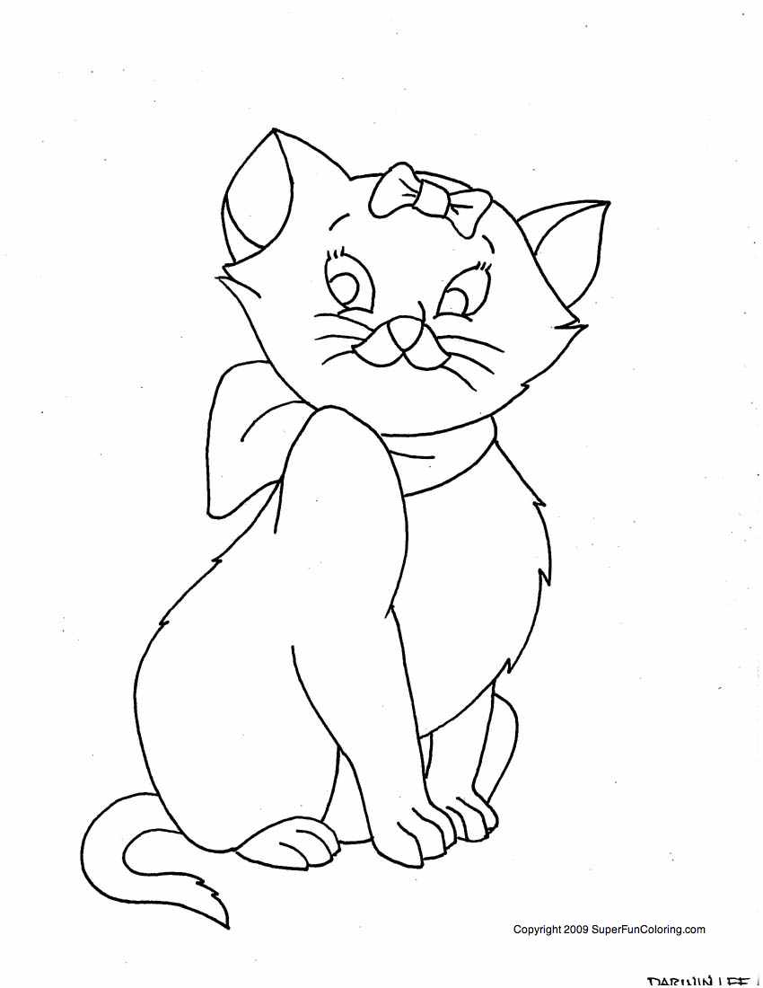 Gatito #5424
