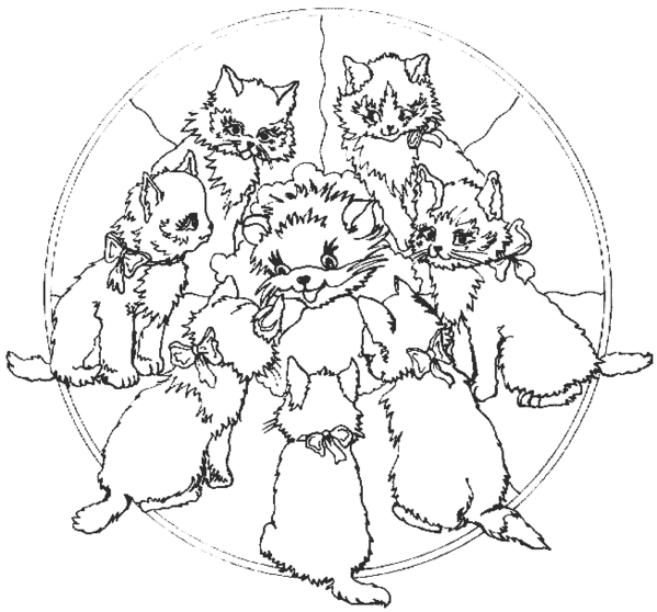 Gatito #5425