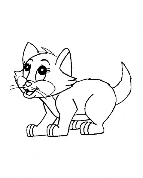Gatito #5426