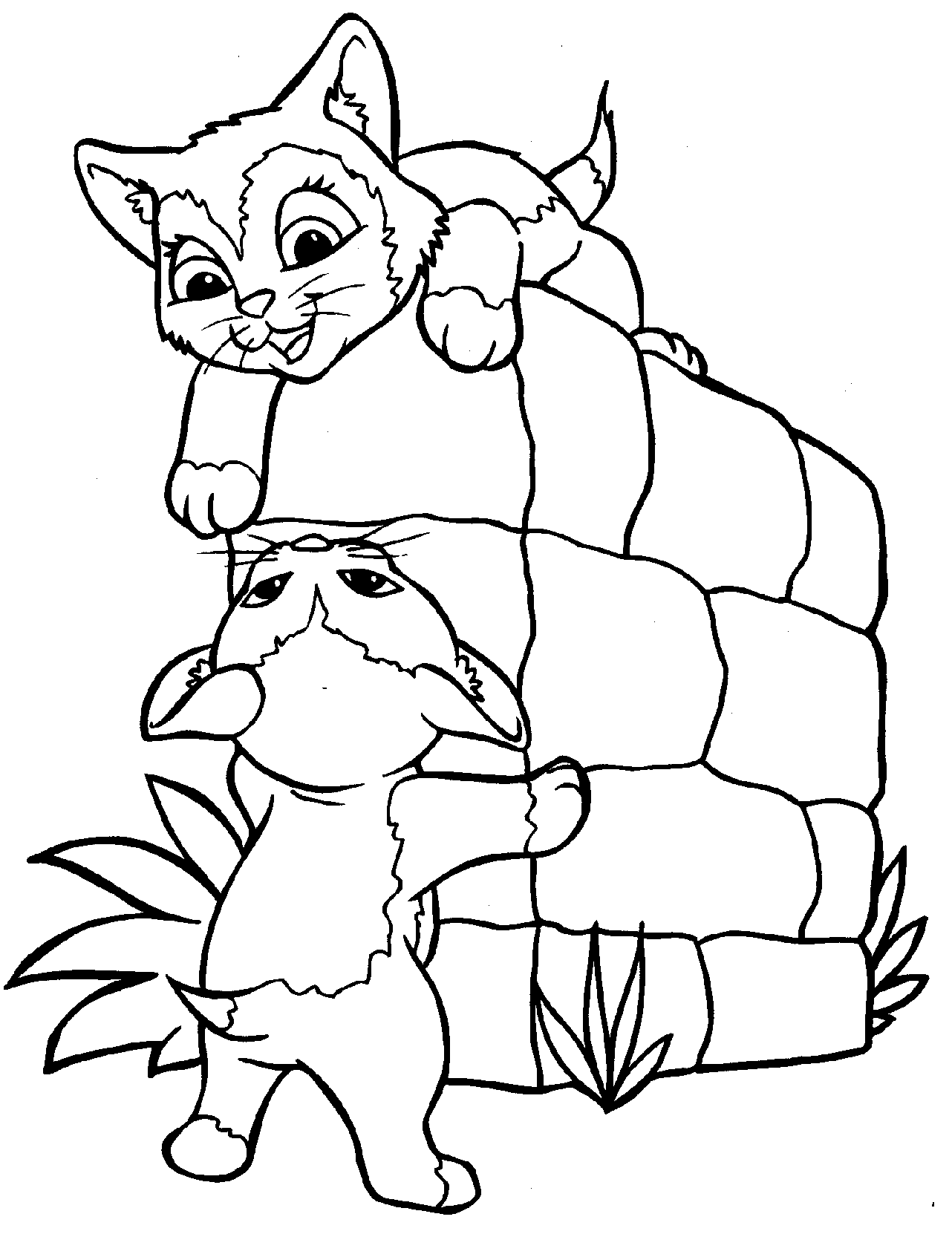 Gatito #5432