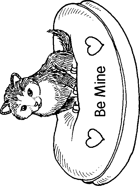 Gatito #5438