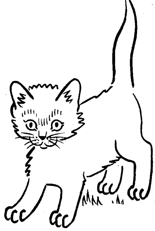 Gatito #5441