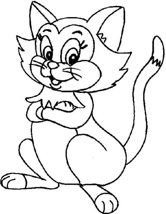 Gatito #5444
