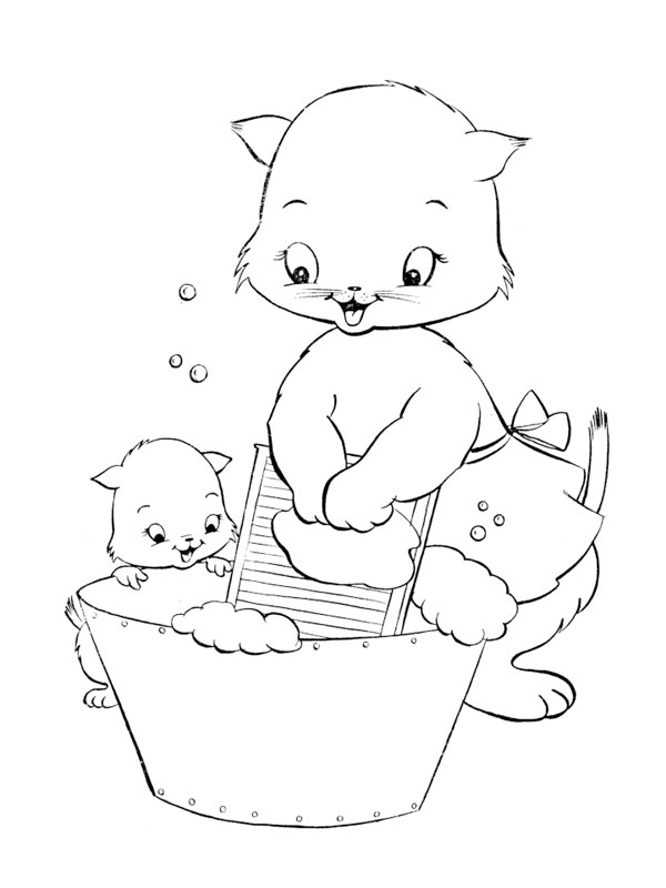 Gatito #5446