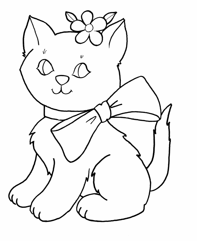 Gatito #5449