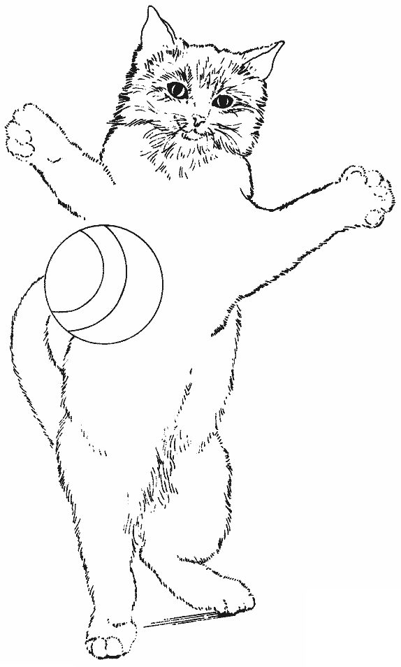 Gatito #5452