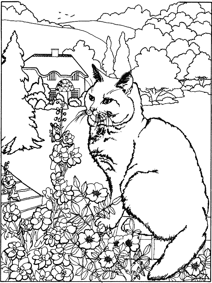 Gatito #5457