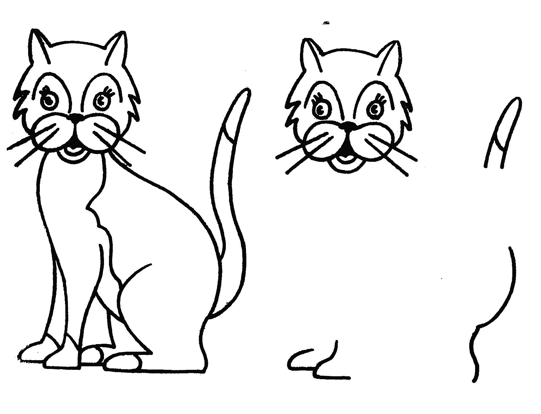 Gatito #5461