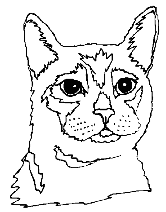 Gatito #5463