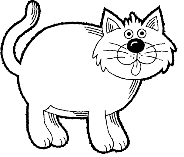 Gatito #5464