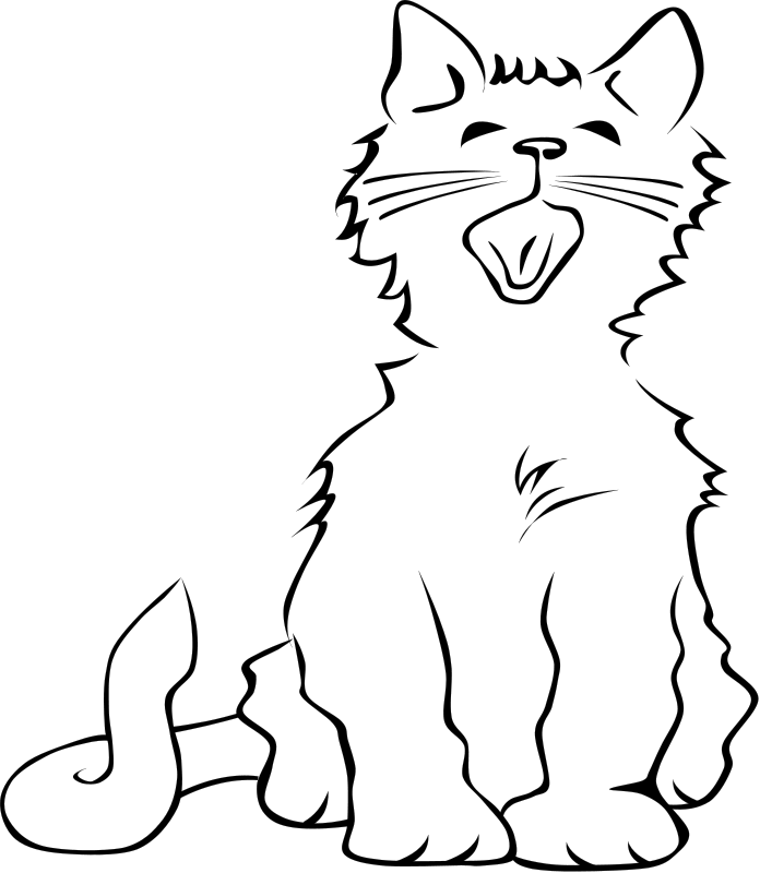 Gatito #5466