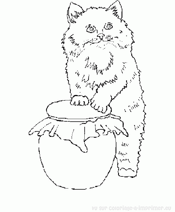 Gatito #5470