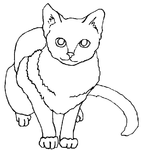 Gatito #5476