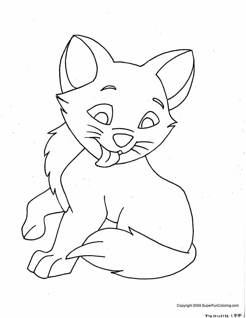 Gatito #5480