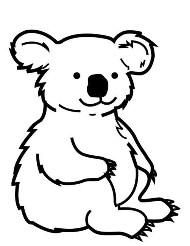 Koala #5484