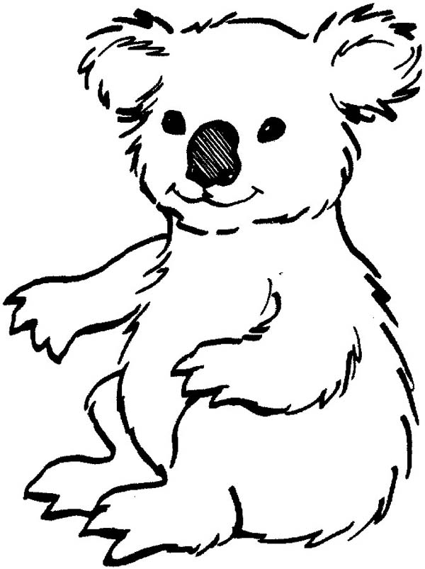 Koala #5488