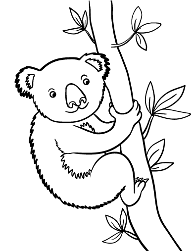 Koala #5489
