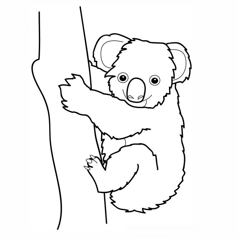 Koala #5490