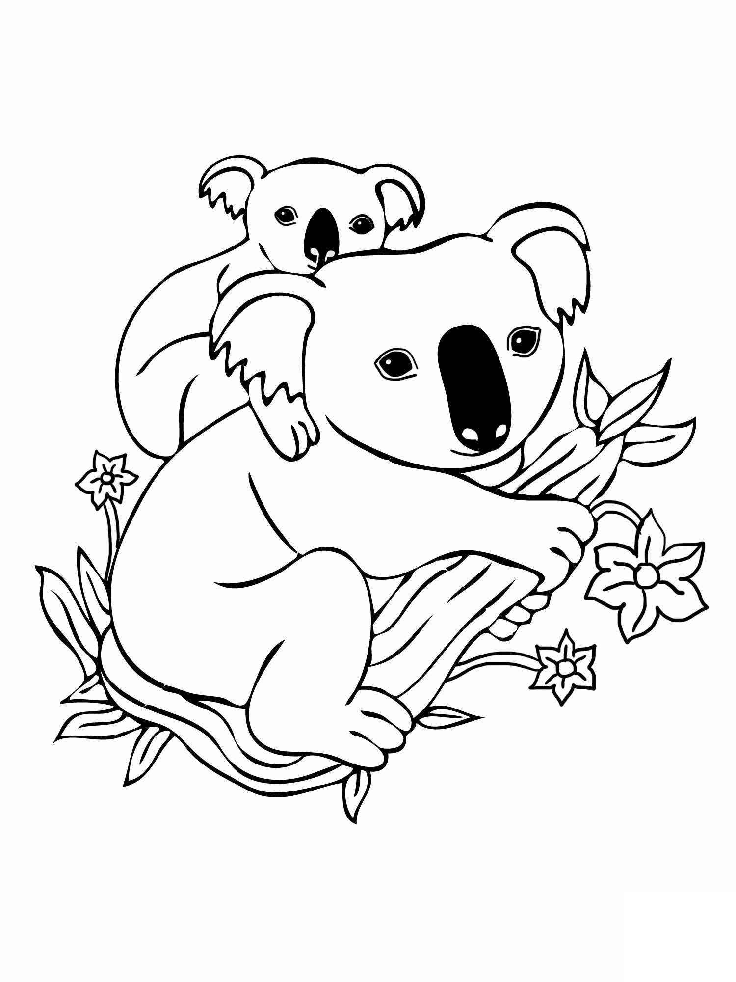Koala #5492