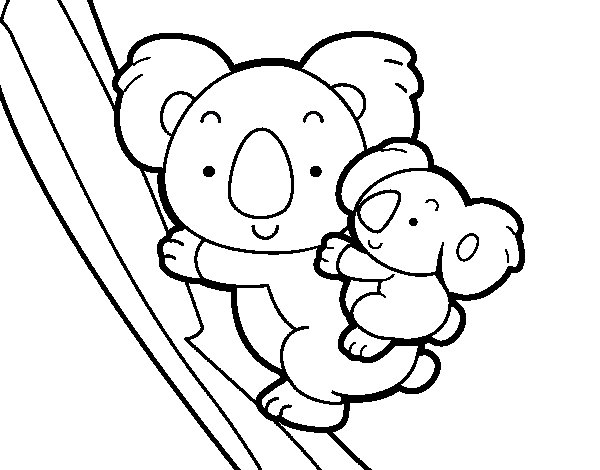 Koala #5494